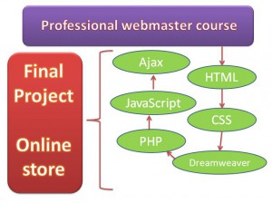 Professional Webmaster Video Course 